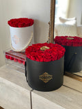 Everlasting Roses - Round Box